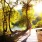 lifestyle image of a woman walking through the local forrest